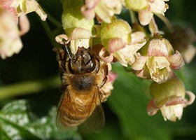 Foto: Ukendt kilde