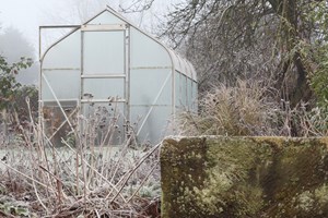 Rimfrosten har lagt sig over haven. Foto: Istock