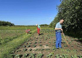 Der arbejdes i det gode vejr