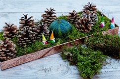 Juledekoration med mos og kogler. Foto: Martin Sølyst