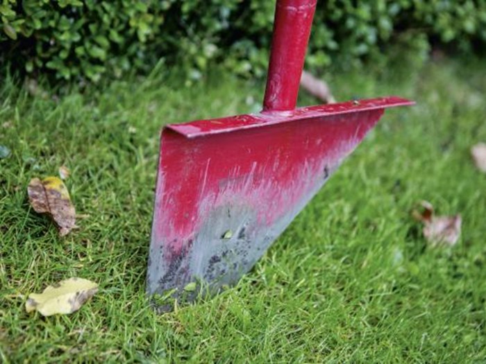 En kantskærer er en slags flad spade, man kan trykke ned i græsset med foden og hive op i skaftet med hænderne. Den giver en helt lige kant. Foto: Ida Wang