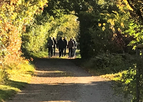 Vestjyllands Parkarboret