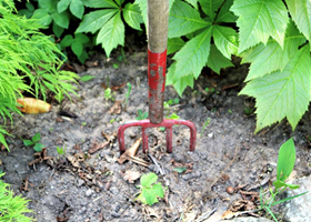 Vestjyllands Parkarboret