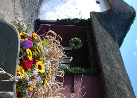 Planternes Dag på Glud Museum