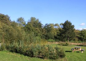 Nordens Lund ved Arboretet