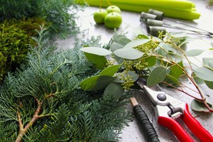 Dekorationsmaterialer fra haven, læs Haveselskabets 3 gode goeremål i december