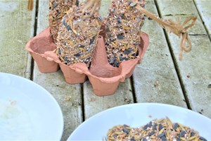 Fedtkugler i æggebakke. Foto: Haveselskabet