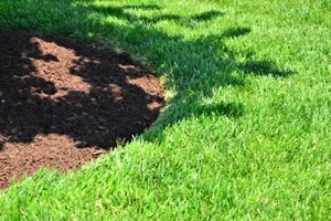 Græskant. Foto: Flickr