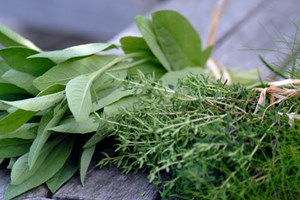 Høstede krydderurter i bundter. Foto: Laila Sølager