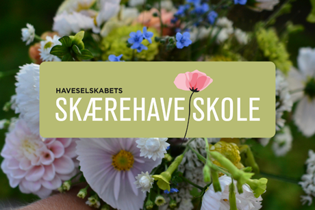 Lær at dyrke dine egne smukke buketter i Skærehaveskolen