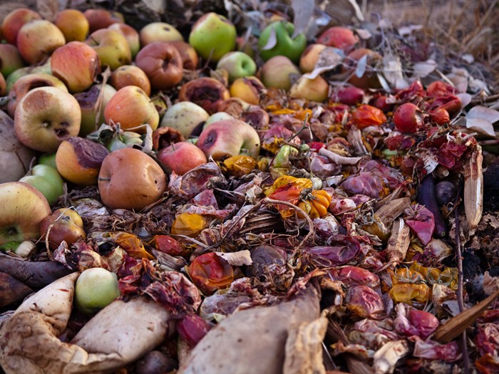 Æbler på kompost. Foto: Flickr/Jeremy Brooks