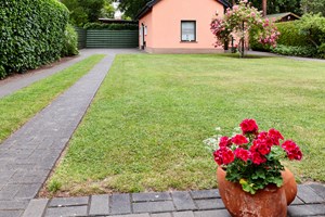 Der er ikke meget i denne have, der kan lokke insekterne til. Foto: Istock/Saruservice