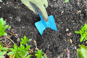 Jord på skovl Foto: Haveselskabet