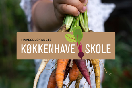 Lær at dyrke grøntsager fra jord til bord i Køkkenhaveskolen