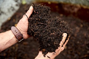 Kompost. Foto: Thomas Evaldsen