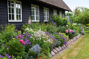 Staudebed i havearkitekt Helle Troelsens Have. Foto: Stuart McIntyre